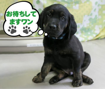 施設見学